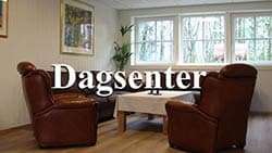 Dagsenter-mindre