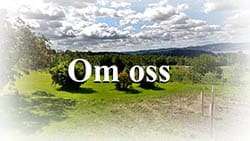 Om oss