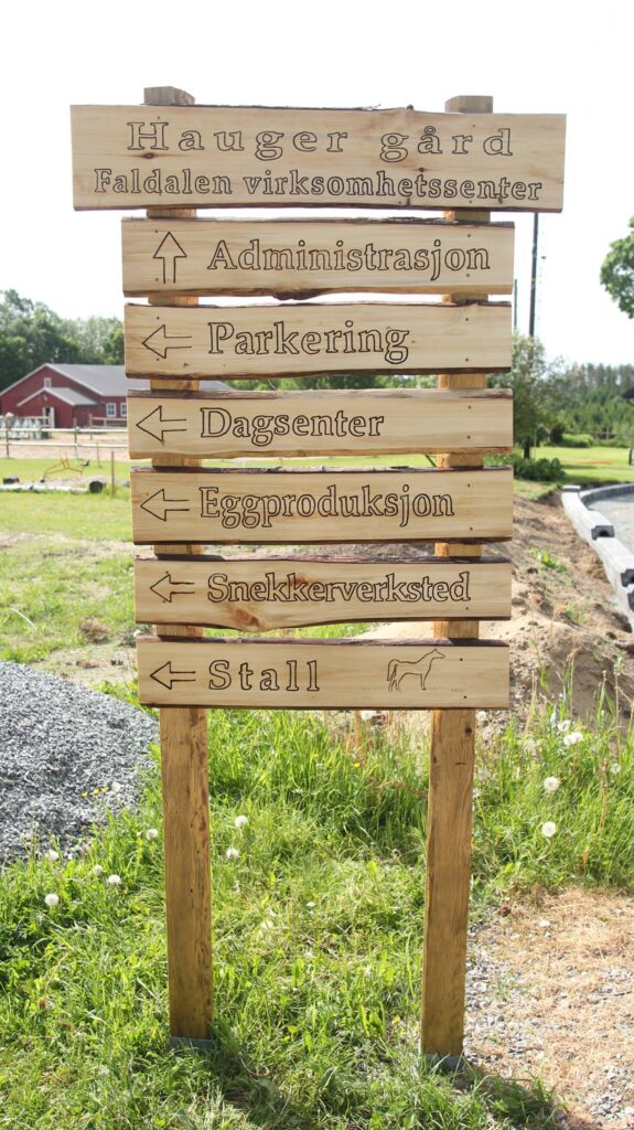 Aktivitetene er mange og varierte på Hauger gård og Faldalen virksomhetssenter.